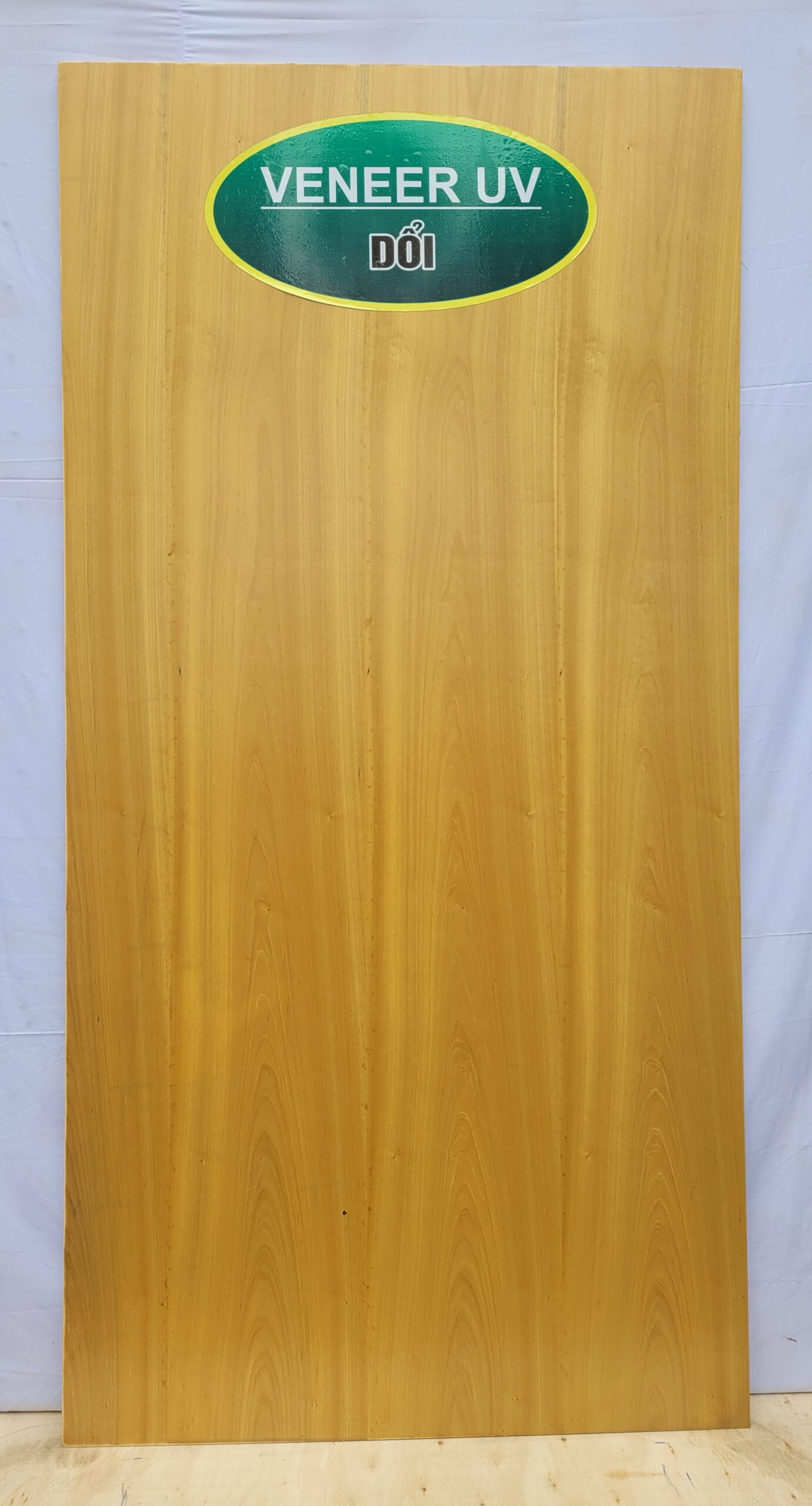 Veneer UV Dổi